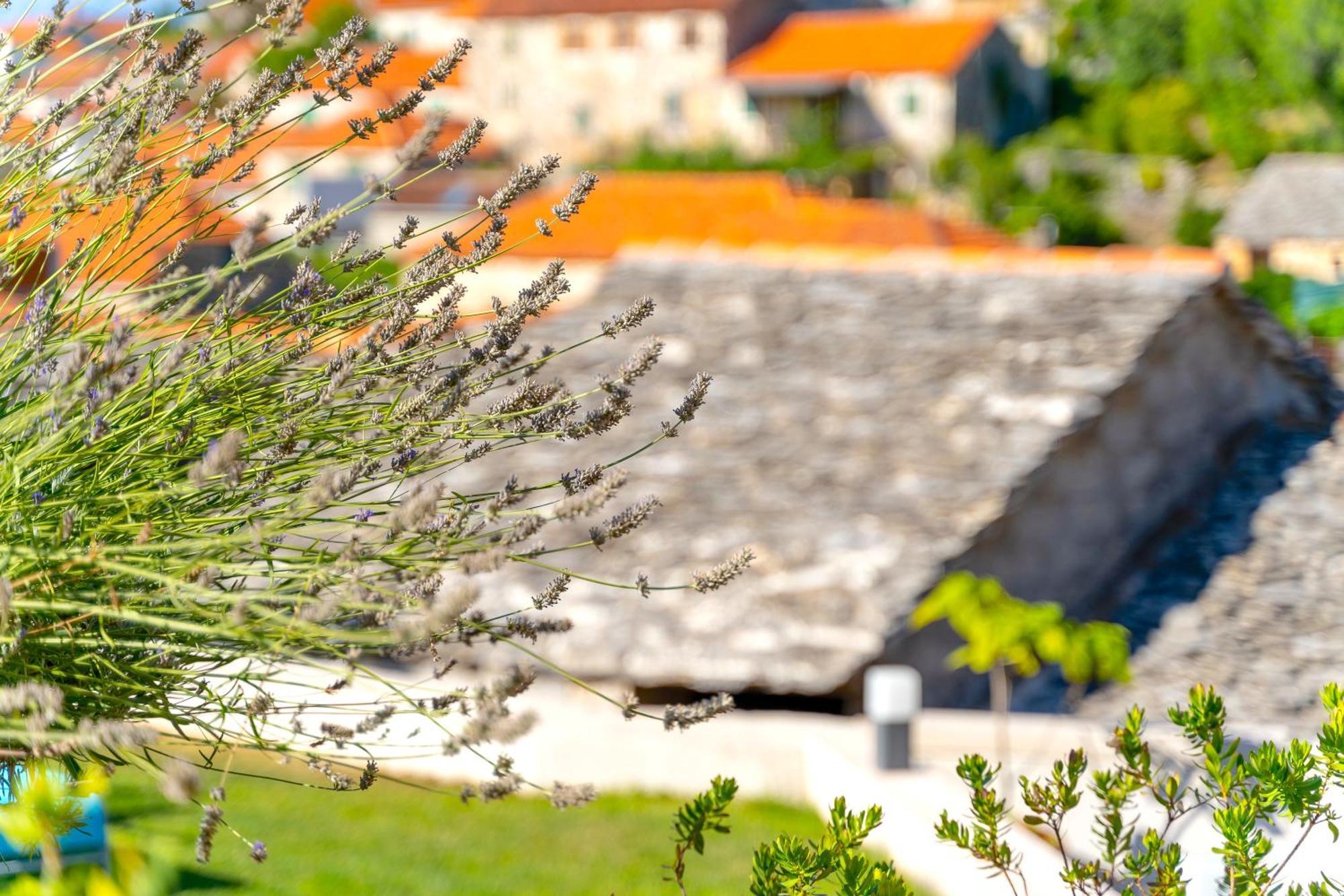 Villa Green Garden Splitska Luaran gambar